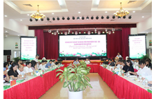 Thư viện Nguyễn Thúc Hào tham dự Hội nghị: Sơ kết Liên hiệp Thư viện Bắc miền Trung nhiệm kỳ 2022 - 2024 và Tọa đàm “Chuyển đổi số trong hoạt động thư viện - Thực trạng và giải pháp”